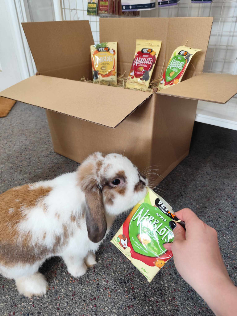 About us – One Stop Bunny Shop
