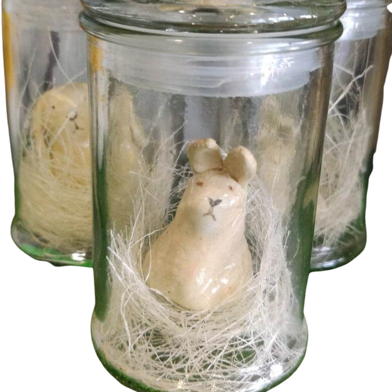 Jar Bunny Ceramic Assorted One Stop Bunny Shop