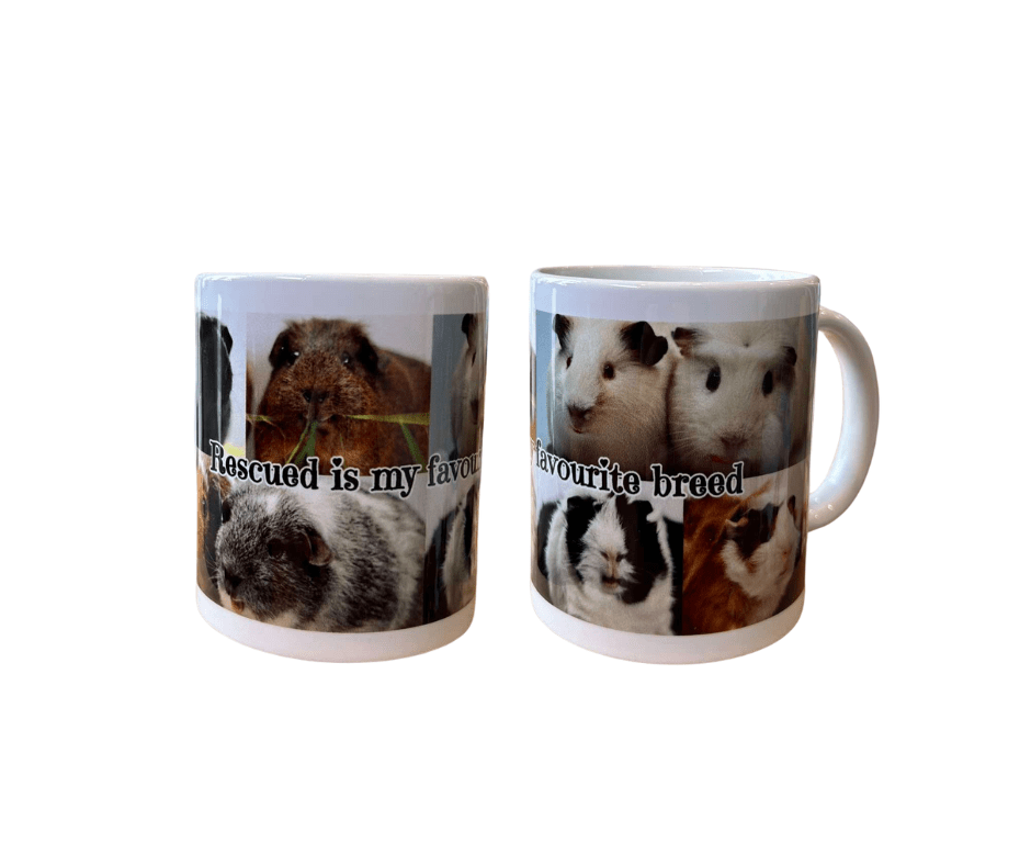 Auckland Cavy Care Mugs - One Stop Bunny Shop
