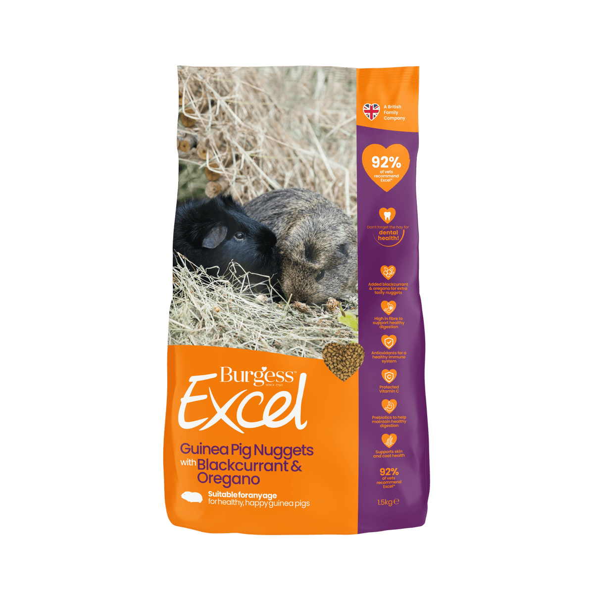 Burgess Excel Guinea Pig Nuggets with Blackcurrant & Oregano 100g – One ...