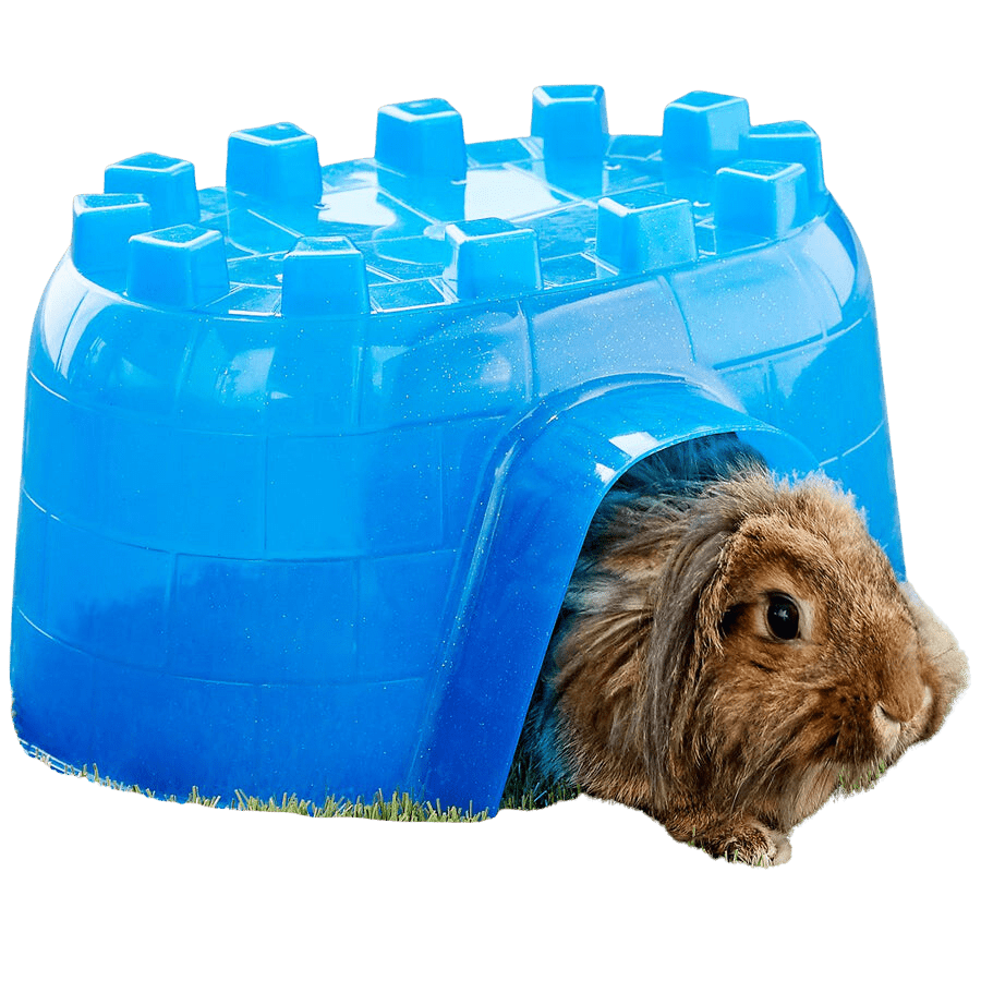 Igloo Kaytee for Small Pets NZ – One Stop Bunny Shop