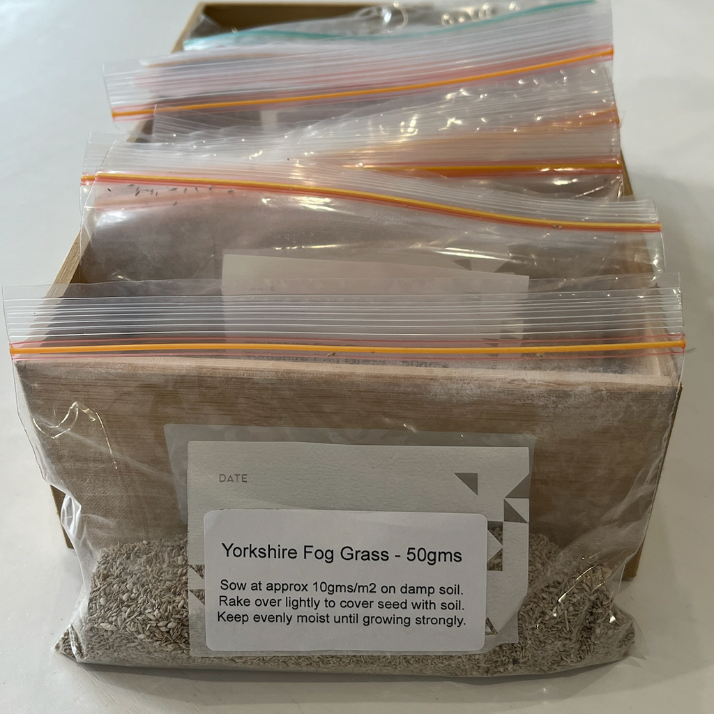 Yorkshire Fog Grass Seeds 50gms
