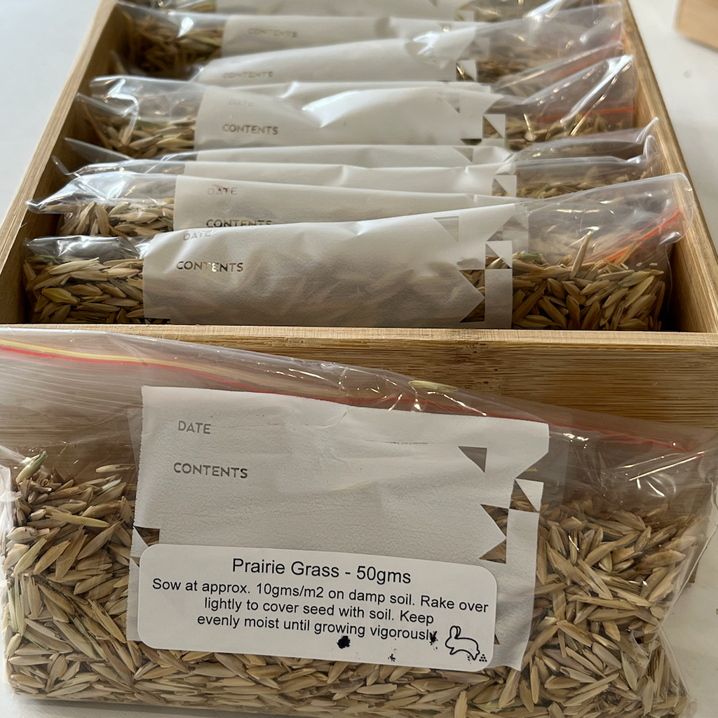 Prairie Grass Seeds 50gms