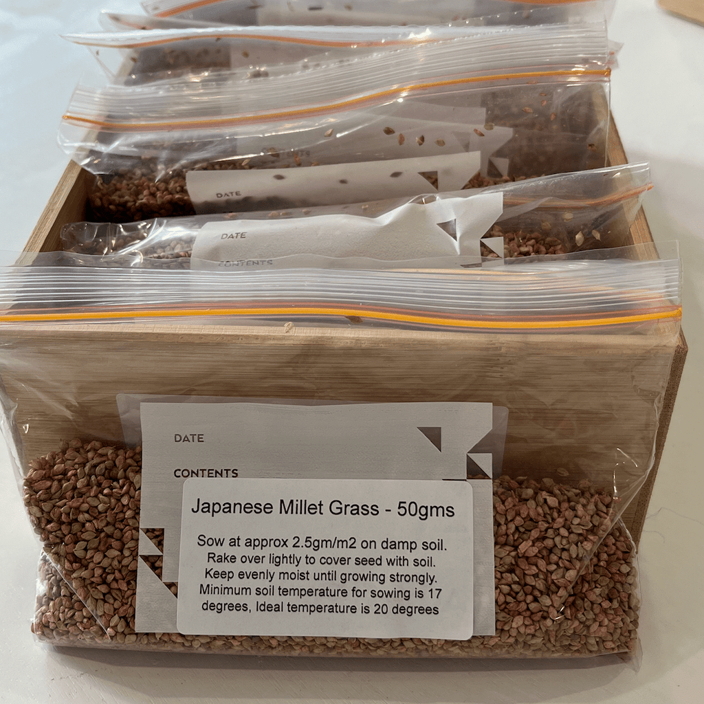Japanese Millet Grass Seeds 50gms - One Stop Bunny Shop