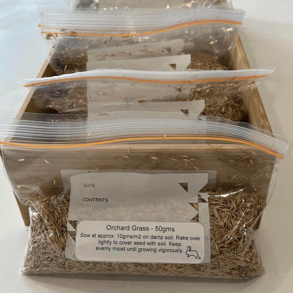 Orchard Grass Seeds 50gms - One Stop Bunny Shop