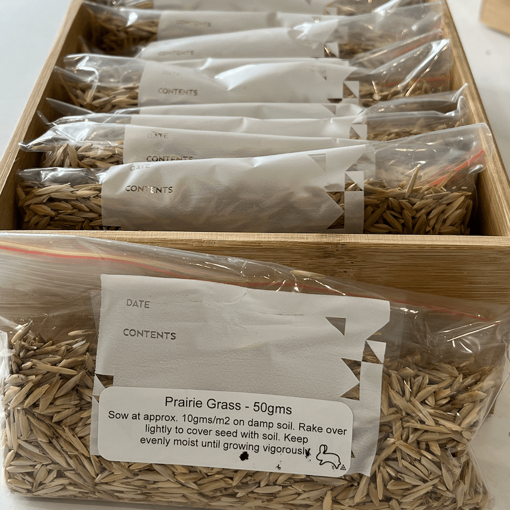 Prairie Grass Seeds 50gms - One Stop Bunny Shop