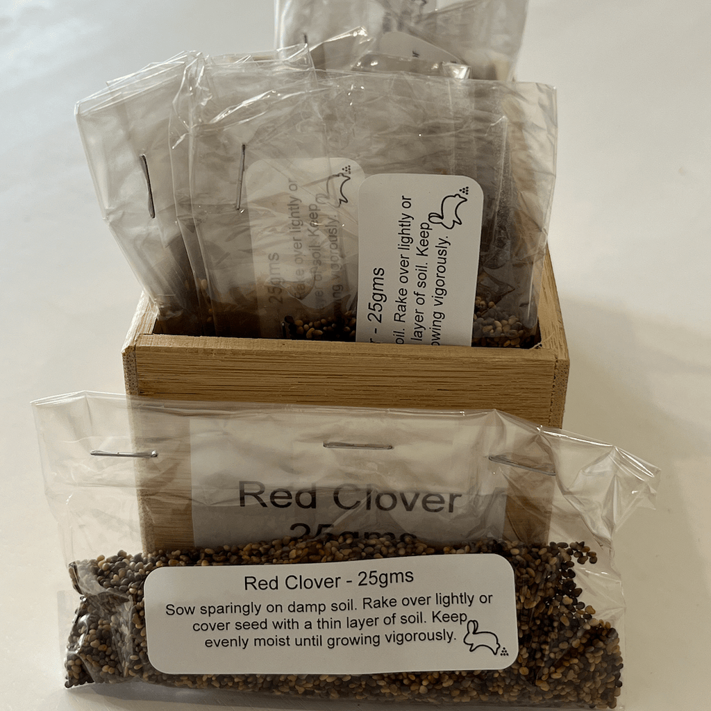 Red Clover Seeds 25gms - One Stop Bunny Shop