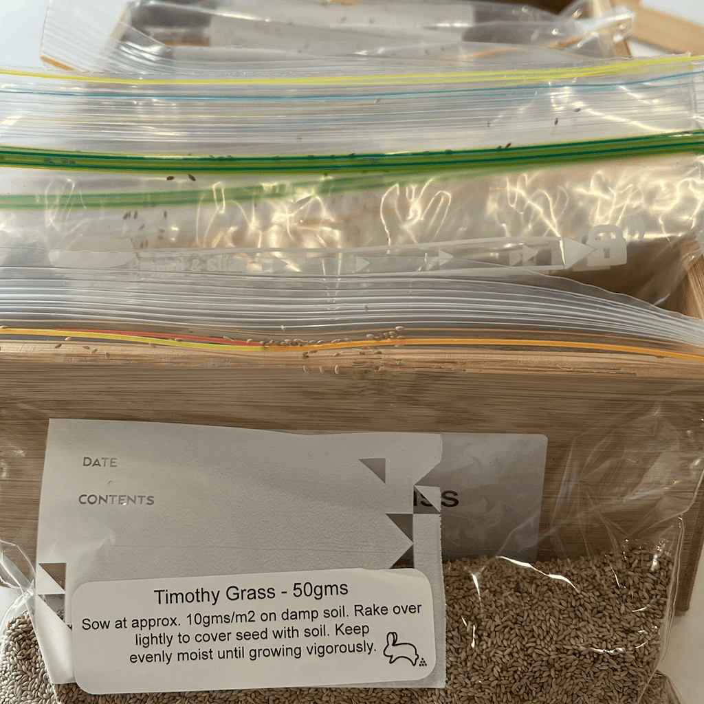 Timothy Grass Seeds 50gms - One Stop Bunny Shop