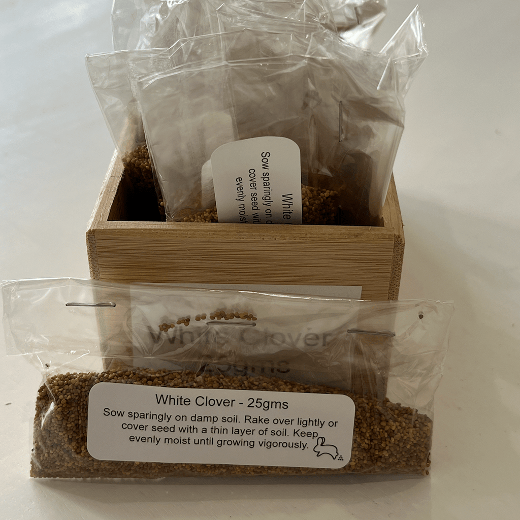 White Clover Seeds 25gms - One Stop Bunny Shop