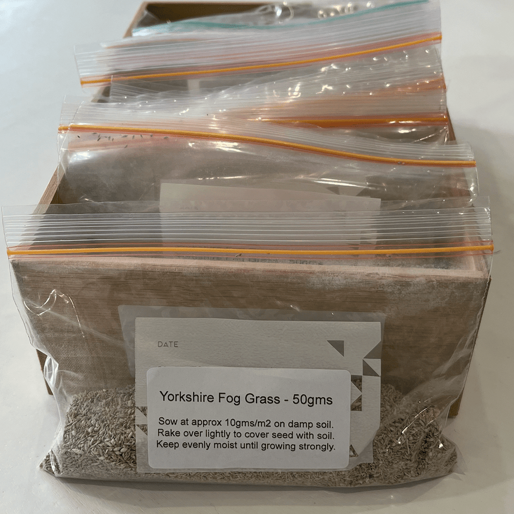 Yorkshire Fog Grass Seeds 50gms - One Stop Bunny Shop